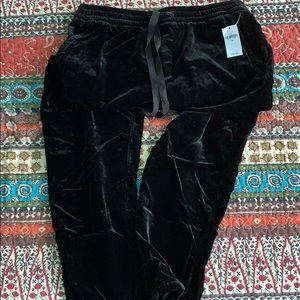 Gap Velvet Joggers XS